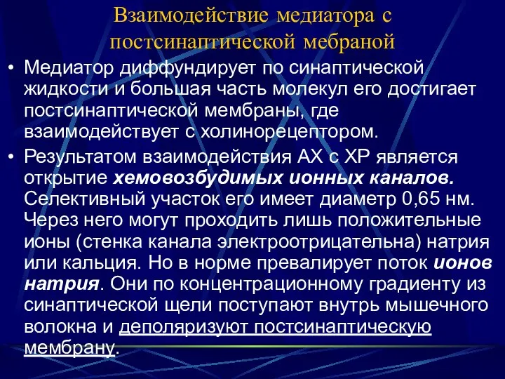 Взаимодействие медиатора с постсинаптической мебраной Медиатор диффундирует по синаптической жидкости и