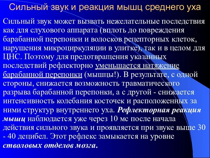 Сильный звук и реакция мышц среднего уха Сильный звук может вызвать