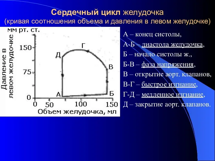 Сердечный цикл желудочка (кривая соотношения объема и давления в левом желудочке)