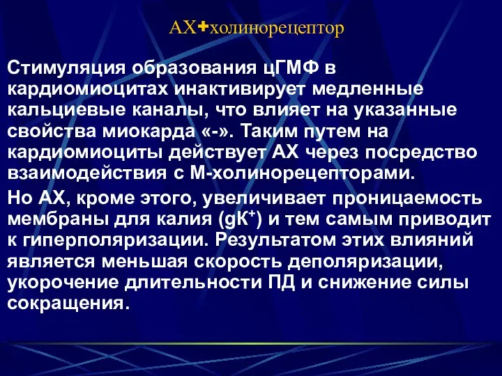 АХ+холинорецептор Стимуляция образования цГМФ в кардиомиоцитах инактивирует медленные кальциевые каналы, что