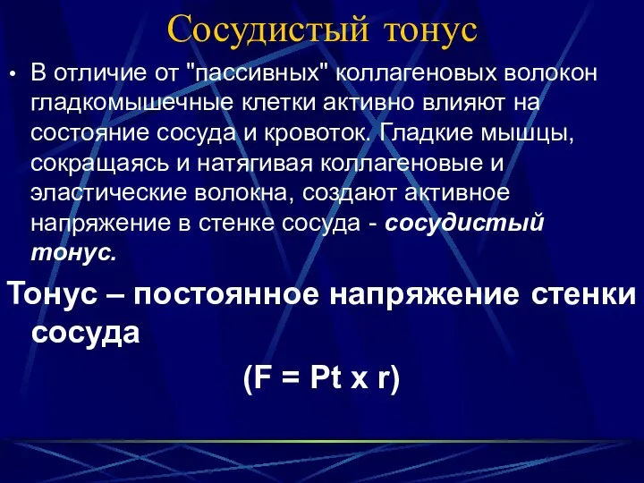 Сосудистый тонус В отличие от "пассивных" коллагеновых волокон гладкомышечные клетки активно