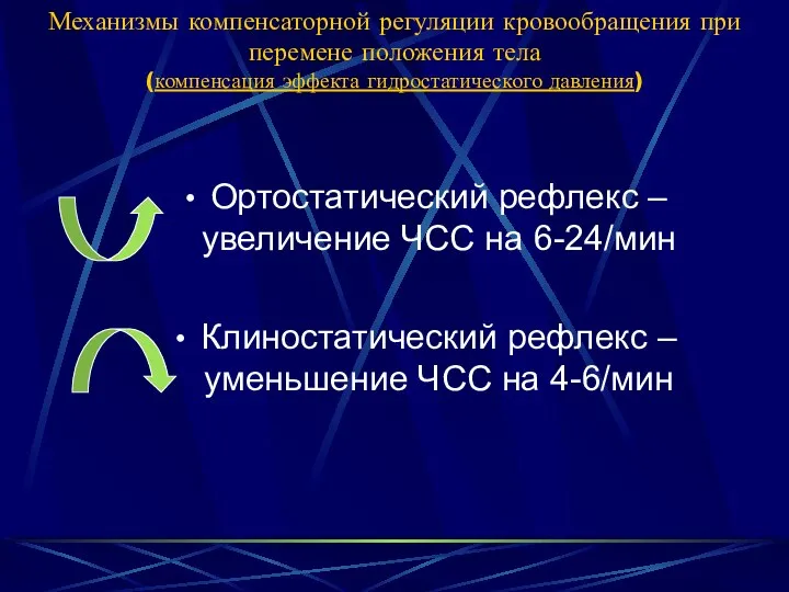 Механизмы компенсаторной регуляции кровообращения при перемене положения тела (компенсация эффекта гидростатического