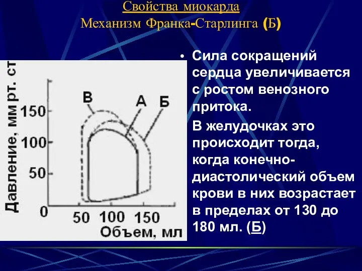 Свойства миокарда Механизм Франка-Старлинга (Б) Сила сокращений сердца увеличивается с ростом