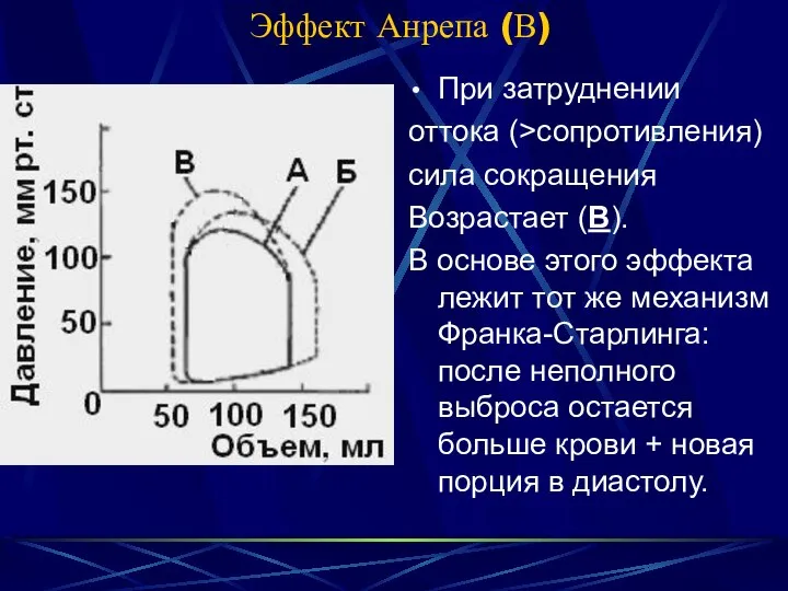 Эффект Анрепа (В) При затруднении оттока (>сопротивления) сила сокращения Возрастает (В).