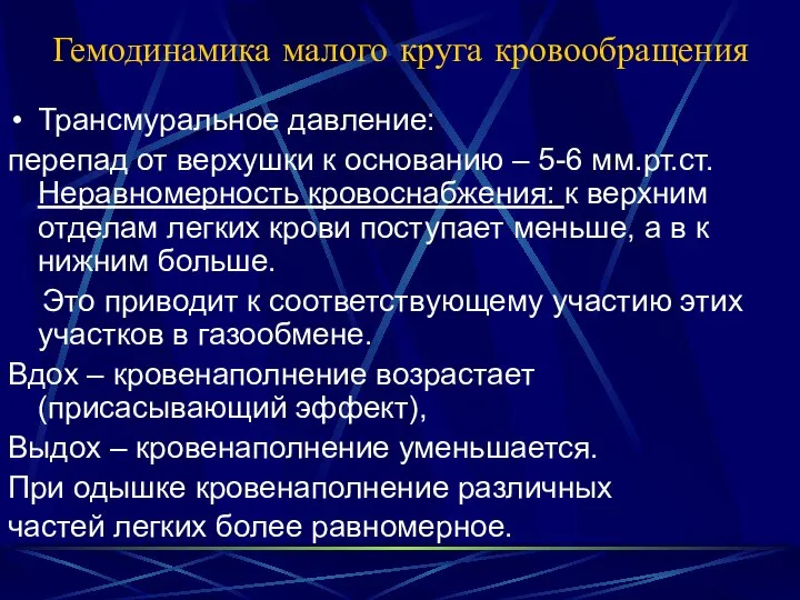 Гемодинамика малого круга кровообращения Трансмуральное давление: перепад от верхушки к основанию