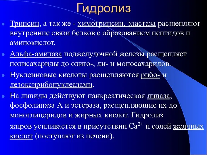 Гидролиз Трипсин, а так же - химотрипсин, эластаза расщепляют внутренние связи