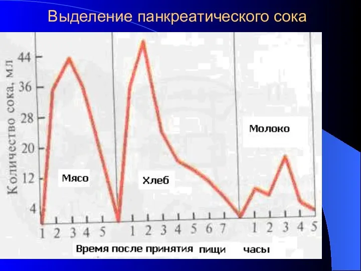 Выделение панкреатического сока