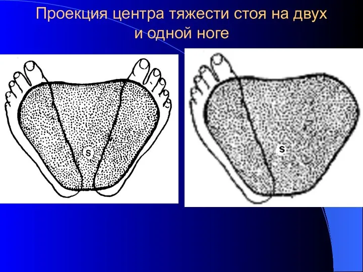 Проекция центра тяжести стоя на двух и одной ноге