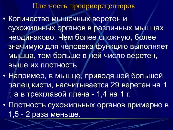 Плотность проприорецепторов Количество мышечных веретен и сухожильных органов в различных мышцах