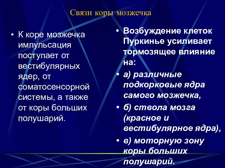 Связи коры мозжечка К коре мозжечка импульсация поступает от вестибулярных ядер,