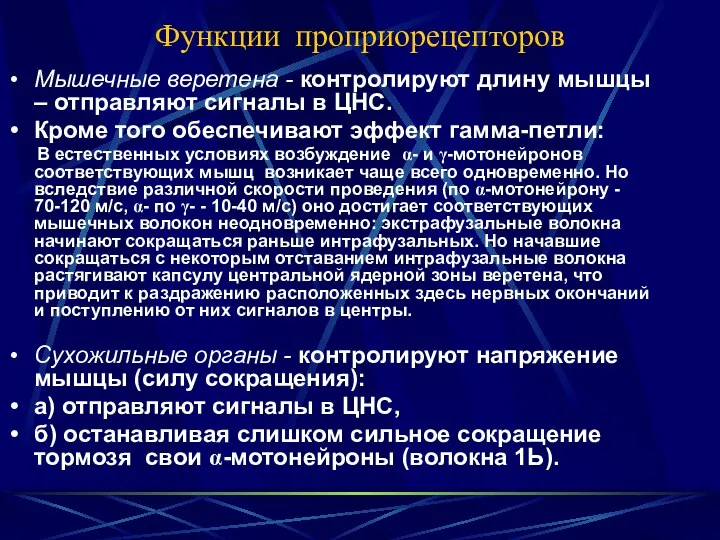 Функции проприорецепторов Мышечные веретена - контролируют длину мышцы – отправляют сигналы