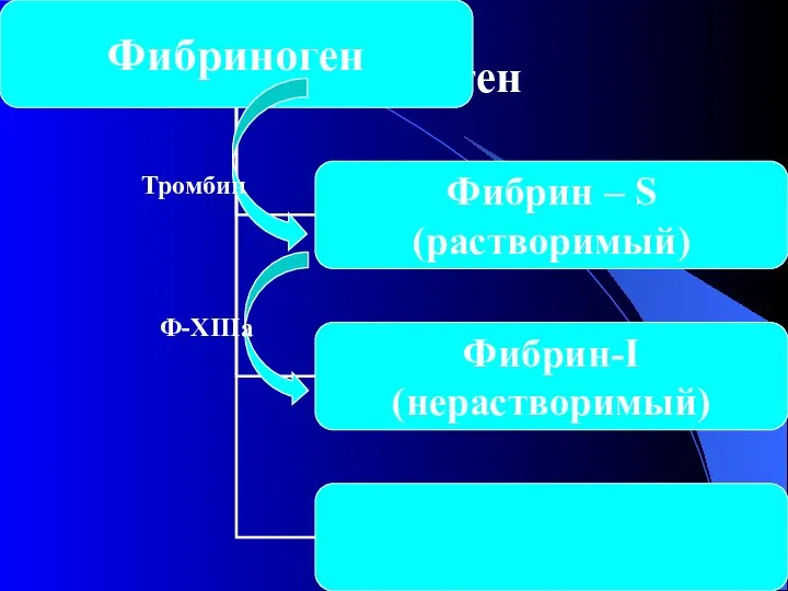 Фибриноген Тромбин Ф-XIIIa