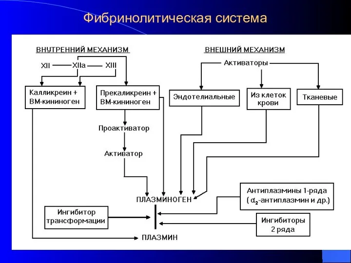 Фибринолитическая система