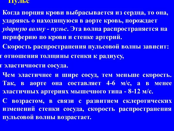 Пульс Когда порция крови выбрасывается из сердца, то она, ударяясь о