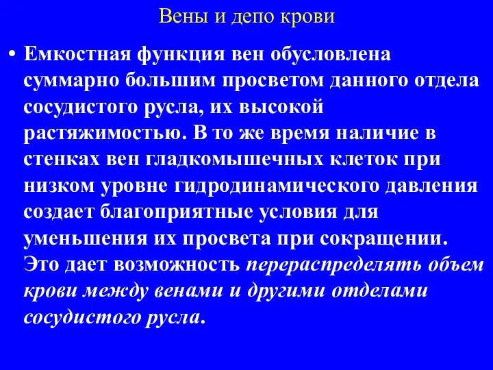 Вены и депо крови Емкостная функция вен обусловлена суммарно большим просветом