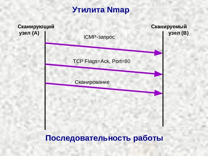 ICMP-запрос Сканирующий узел (A) Сканируемый узел (B) Последовательность работы Утилита Nmap TCP Flags=Ack, Port=80 Сканирование