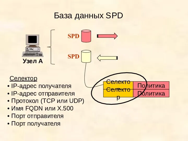 База данных SPD Узел А SPD SPD Селектор Политика Селектор Политика