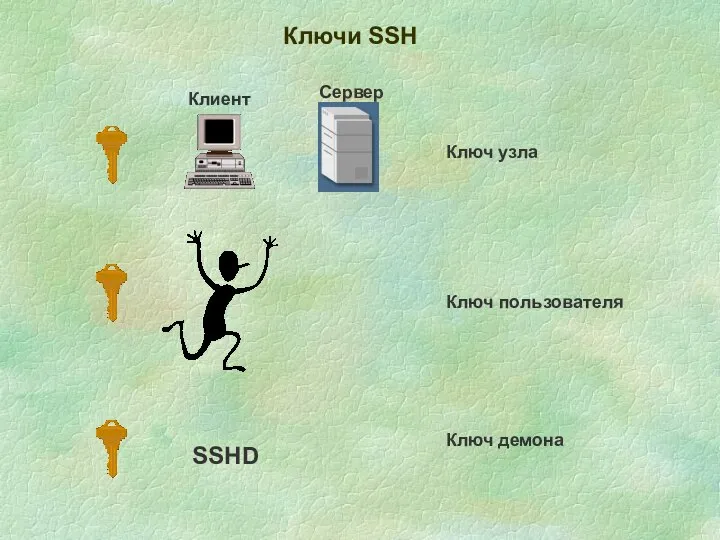 Клиент Сервер Ключи SSH Ключ узла SSHD Ключ пользователя Ключ демона