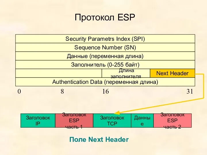 Протокол ESP Security Parametrs Index (SPI) Sequence Number (SN) Данные (переменная