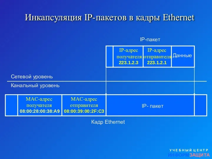 Инкапсуляция IP-пакетов в кадры Ethernet У Ч Е Б Н Ы