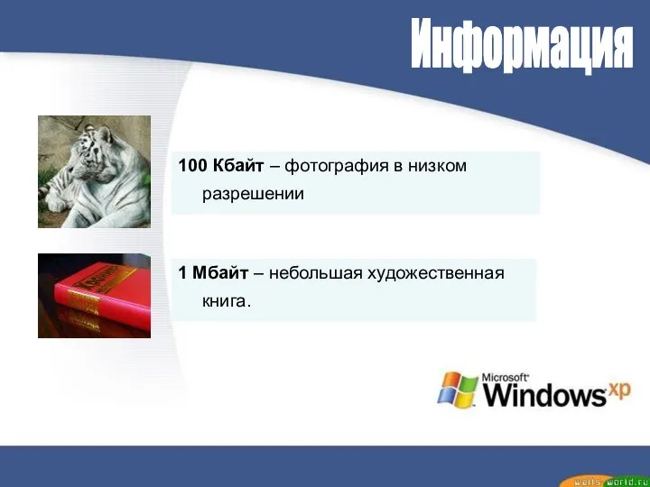 Информация 100 Кбайт – фотография в низком разрешении 1 Мбайт – небольшая художественная книга.