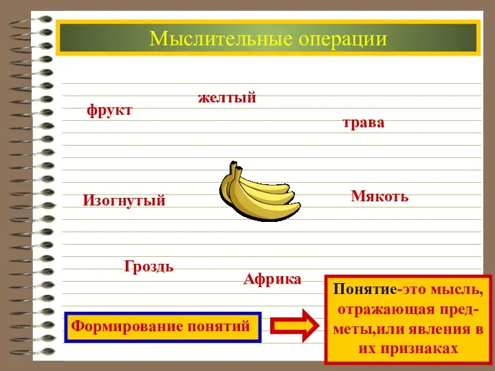 Мыслительные операции фрукт желтый трава Изогнутый Гроздь Африка Мякоть Формирование понятий