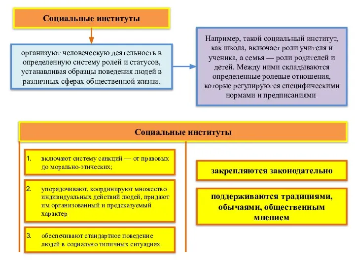 Социальные институты организуют человеческую деятельность в определенную систему ролей и статусов,