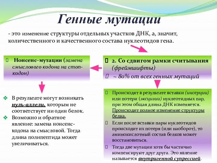 Генные мутации 2. Со сдвигом рамки считывания (фреймшифты) ~ 80% от