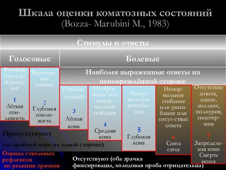 Отсутствуют (оба зрачка фиксированы, холодовая проба отрицательна) Присутствуют (по крайней мере