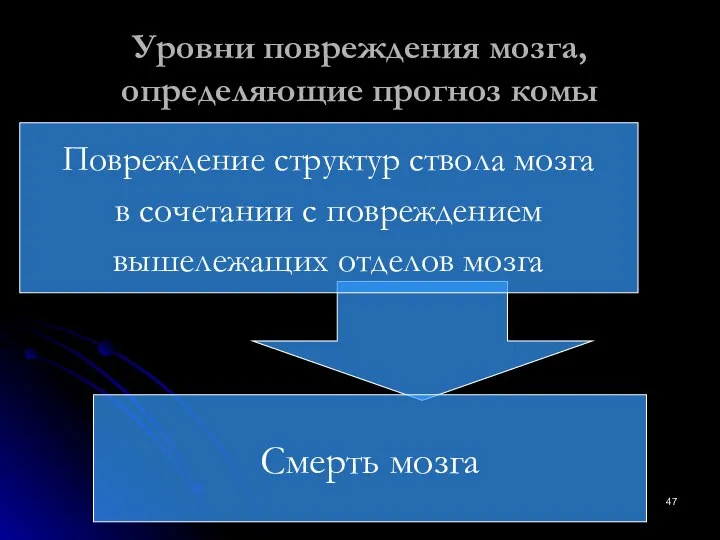 Уровни повреждения мозга, определяющие прогноз комы Смерть мозга Повреждение структур ствола