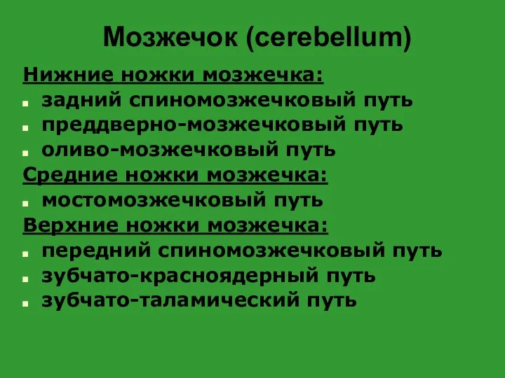 Мозжечок (cerebellum) Нижние ножки мозжечка: задний спиномозжечковый путь преддверно-мозжечковый путь оливо-мозжечковый