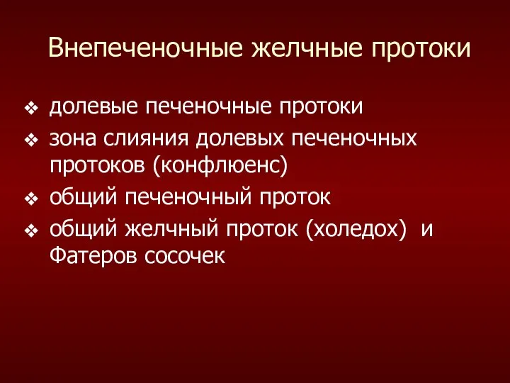 Внепеченочные желчные протоки долевые печеночные протоки зона слияния долевых печеночных протоков