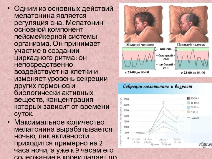 Одним из основных действий мелатонина является регуляция сна. Мелатонин — основной