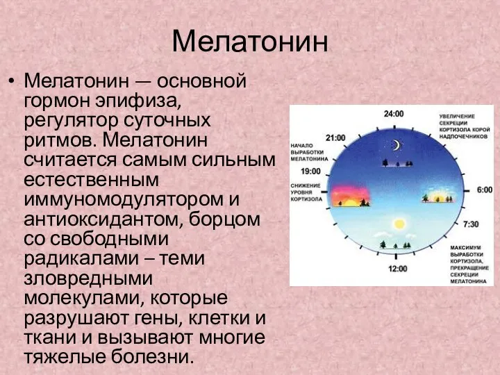 Мелатонин Мелатонин — основной гормон эпифиза, регулятор суточных ритмов. Мелатонин считается