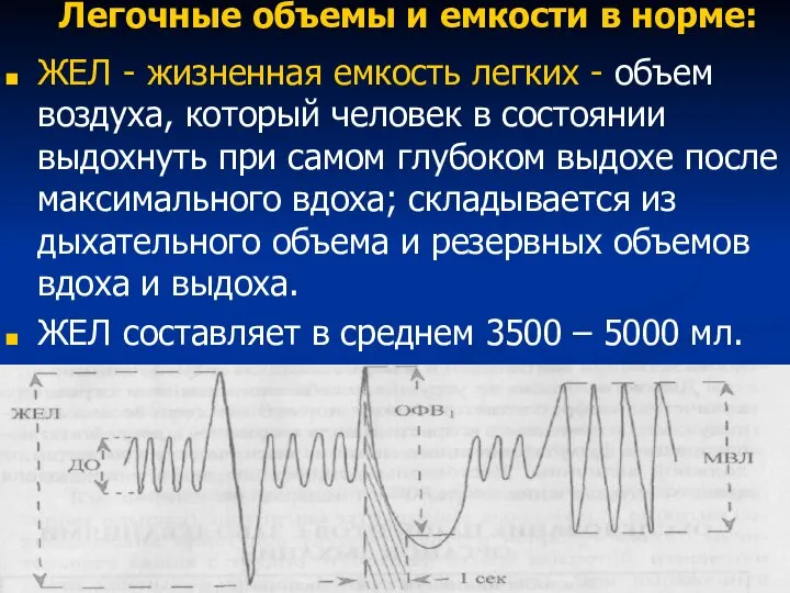 Легочные объемы и емкости в норме: ЖЕЛ - жизненная емкость легких