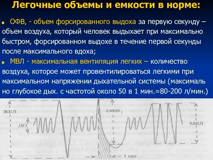 Легочные объемы и емкости в норме: ОФВ, - объем форсированного выдоха