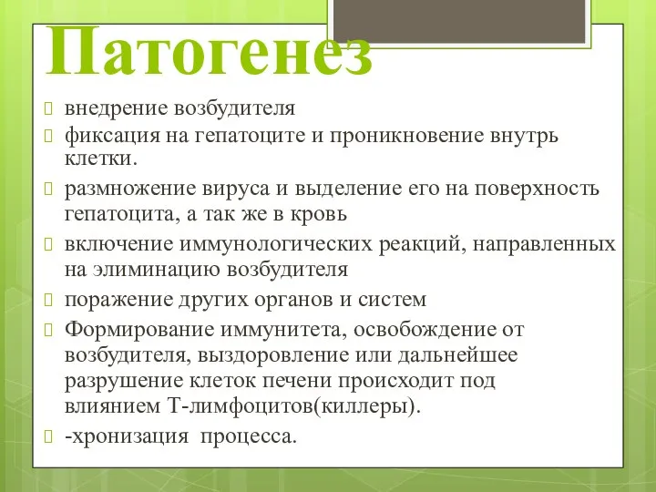 Патогенез внедрение возбудителя фиксация на гепатоците и проникновение внутрь клетки. размножение