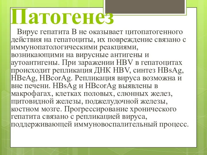 Патогенез Вирус гепатита В не оказывает цитопатогенного действия на гепатоциты, их