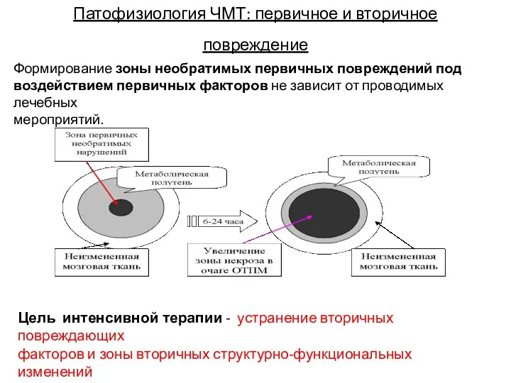 Патофизиология ЧМТ: первичное и вторичное повреждение Формирование зоны необратимых первичных повреждений