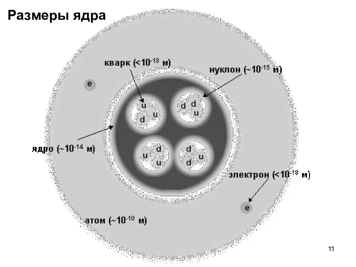 Размеры ядра