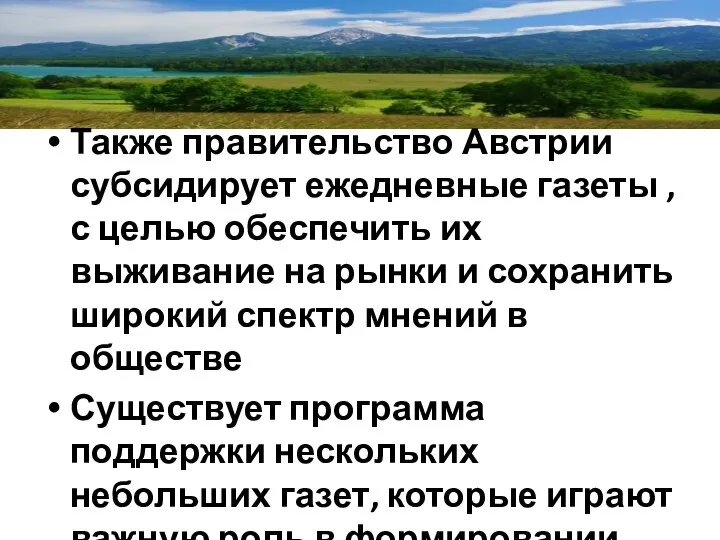 Также правительство Австрии субсидирует ежедневные газеты , с целью обеспечить их