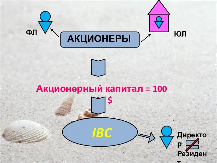 Акционерный капитал = 100 000 $ ФЛ ЮЛ