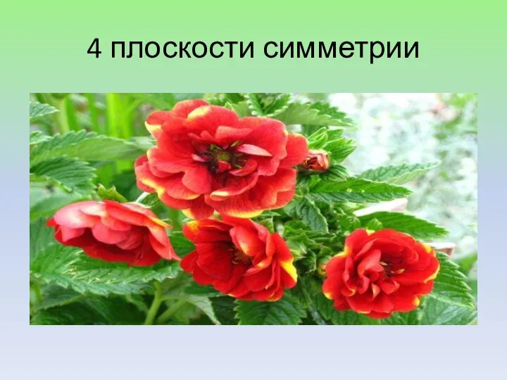 4 плоскости симметрии