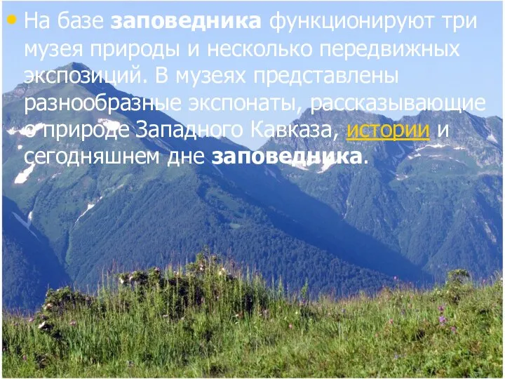 На базе заповедника функционируют три музея природы и несколько передвижных экспозиций.