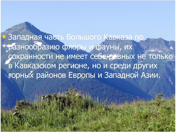 Западная часть Большого Кавказа по разнообразию флоры и фауны, их сохранности