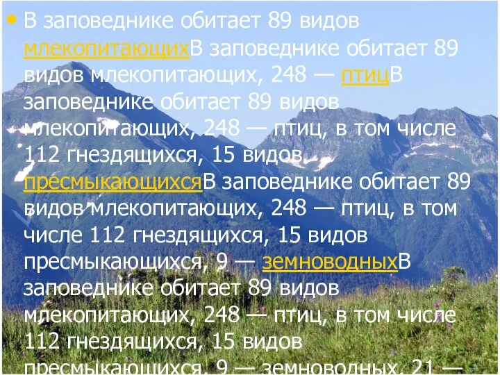 В заповеднике обитает 89 видов млекопитающихВ заповеднике обитает 89 видов млекопитающих,