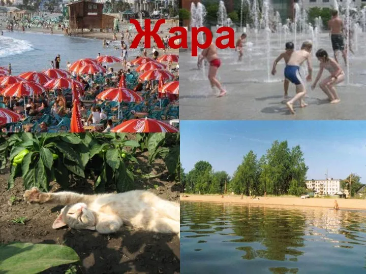 Жара