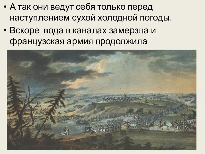 А так они ведут себя только перед наступлением сухой холодной погоды.