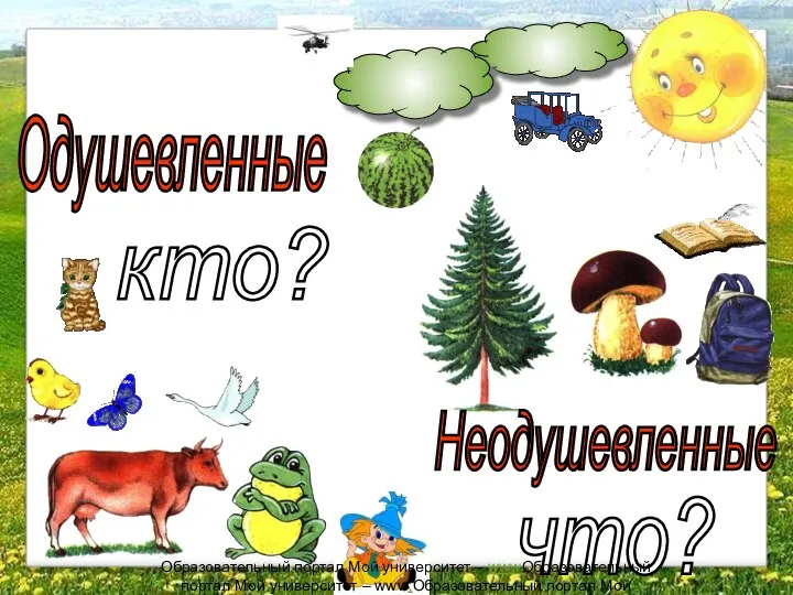 Одушевленные Неодушевленные кто? что? Образовательный портал Мой университет – wwwОбразовательный портал