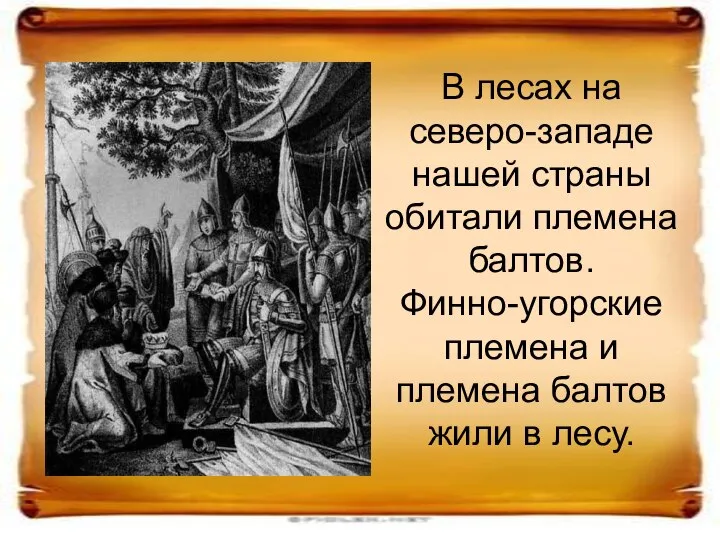 В лесах на северо-западе нашей страны обитали племена балтов. Финно-угорские племена